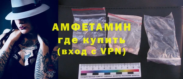 твердый Лагань