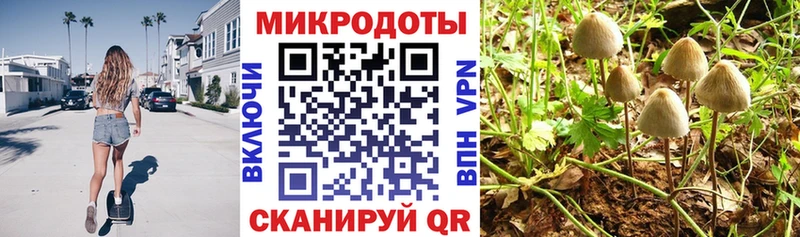 магазин продажи   Чухлома  Псилоцибиновые грибы GOLDEN TEACHER 